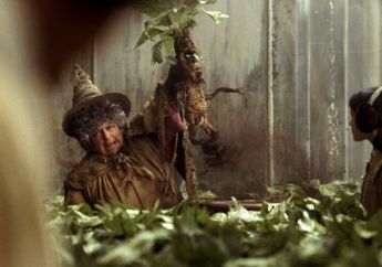 Tumbuhan Mandrake di Harry Potter Pernah Dianggap Ajaib di Dunia Nyata, lo!