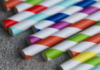 Banyak Sedotan Pengganti Plastik, Sedotan Jenis Apakah yang Ramah Lingkungan?