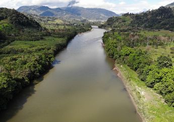 Jadi Sungai Terpanjang Kedua, Ada Berapa Jembatan di Sungai Amazon, ya?