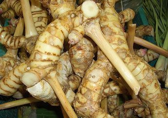 Tidak Hanya untuk Memasak, Lengkuas Punya Manfaat Lainnya, lo!