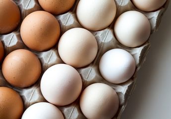 Agar Tidak Cepat Rusak, Sebaiknya Simpan Telur di Kulkas atau Suhu Ruang, ya?