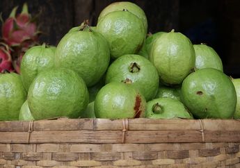 Sedang Jadi Buah Populer, Cari Tahu Manfaat Jambu Kristal, yuk!