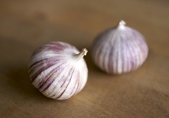 4 Manfaat Bawang Putih Tunggal, Ternyata Baik untuk Diabetes, lo!