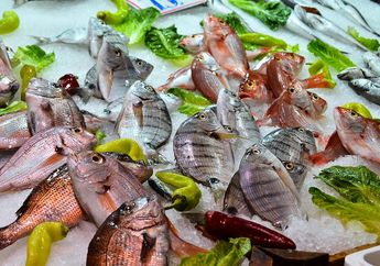 Mana yang Lebih Sehat untuk Dijadikan Lauk, Ayam atau Ikan?