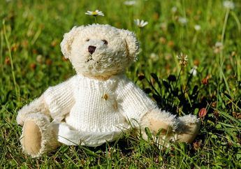 Rupanya Ada Kisah di Balik Nama Boneka Teddy Bear yang Lucu, lo