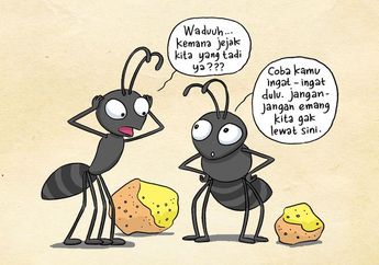 Pergi Jauh Mencari Makanan, Bagaimana Semut Menemukan Jalan Pulang, ya?