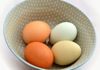 BERITA POPULER: Perbandingan Kadar Kolesterol di Telur Bebek dan Telur Ayam, Hingga Asal Usul Nama Kota New York
