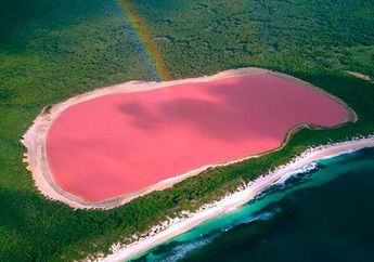 Mengapa Danau Pink di Australia Bisa Berwarna Merah Muda, ya?