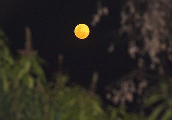 Malam Ini, Jangan Lupa Lihat Bulan Purnama Mini di Langit, ya!