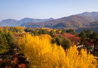 Yuk, Kunjungi 5 Tempat Wisata di Korea Selatan Ini saat Musim Gugur!