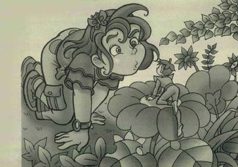 Dongeng Anak: Kurcaci di Taman Bunga