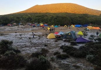 Fenomena Embun Es Membuat Gunung Gede Jadi 'Padang Es', Ada Apa?
