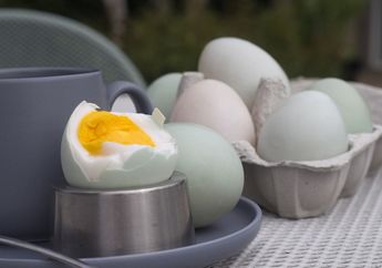 Cari Tahu Kandungan Telur Bebek dan Manfaatnya untuk Tubuh Kita, yuk!