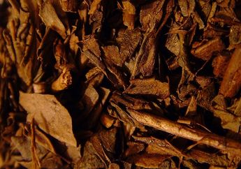 Hojicha Termasuk Jenis Teh Hijau Jepang, Apa Bedanya dengan Matcha dan Green Tea? #AkubacaAkuTahu