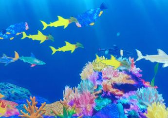 Yuk, Cegah Kepunahan Hewan Laut dengan Mengunjungi 'Akuarium Digital'!