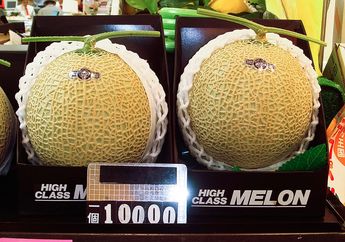 Ada yang Mencapai 650 juta, Kenapa Melon Jepang Sangat Mahal?