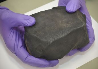 Meteorit Ini Beraroma Seperti Kubis Brussel, Dari Mana Asal Aromanya?