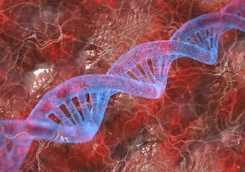 Perbedaan DNA dan RNA yang Berhubungan dengan Informasi Dasar Manusia