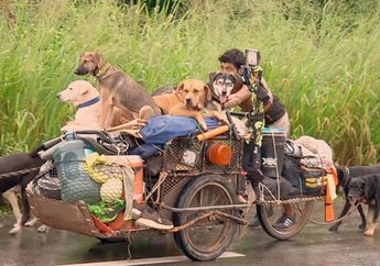 Wah, Pria Ini Berjalan Ribuan Kilometer untuk Menyelamatkan Anjing yang Sakit dan Terluka