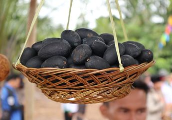 Buah Unik Khas Kalimantan Ini Rasanya seperti Mentega! Pernah Coba?