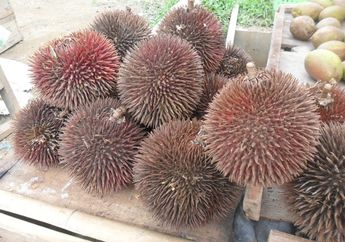 Lahung, Buah Unik Indonesia yang Mirip Durian, Sudah Pernah Coba?