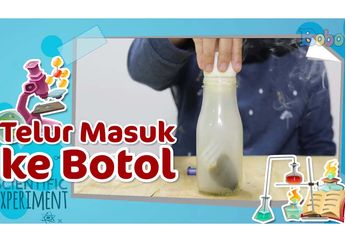 Kegiatan Seru Akhir Pekan, Coba Eksperimen dari Telur Rebus, yuk!