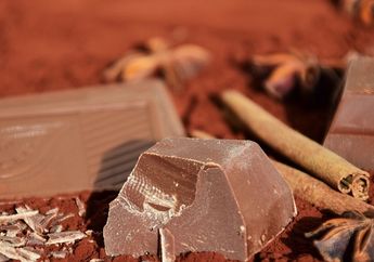 Sering Ada Lapisan Putih pada Cokelat, Apakah Lapisan Itu Jamur?