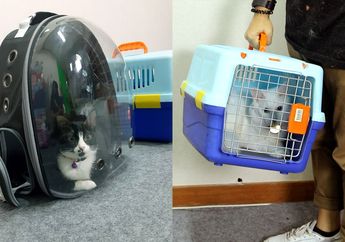 Review Tas Ransel untuk Membawa Kucing dan Pet Carrier, Mau Coba Pakai?