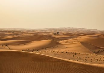 Gurun Sahara Dulunya Merupakan Oasis, Bagaimana Bisa Berubah Jadi Gurun Pasir?