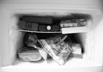 Kebanyakan Freezer Kulkas Tidak Dipasangi Lampu, Mengapa Begitu?
