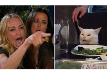Sering Dijadikan Meme ‘Woman Yelling at A Cat’, Kucing Bernama Smudge Ini Punya Jutaan Followers