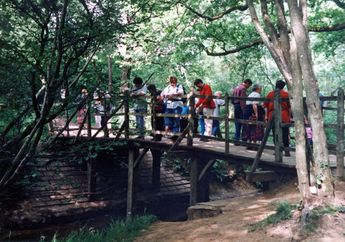 Terinspirasi dari Winnie the Pooh, Olahraga Poohsticks Terkenal, lo!