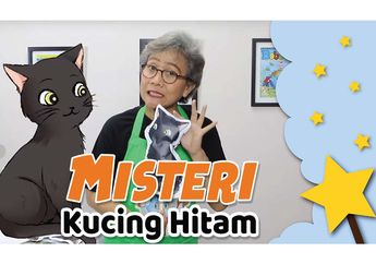 Cerita Misteri: Misteri Kucing Hitam #MendongenguntukCerdas