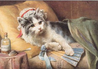 Ciri-Ciri Kucing Sakit, Pernah Menemukan Kucing Seperti Ini?