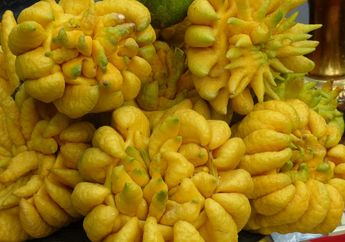 7 Buah di Dunia yang Bentuknya Bikin Bingung, Ada yang Berasal dari Indonesia