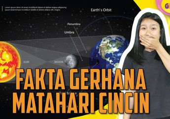 Lihat Gerhana Matahari Cincin Kemarin? Ini 5 Fakta Seru di Baliknya