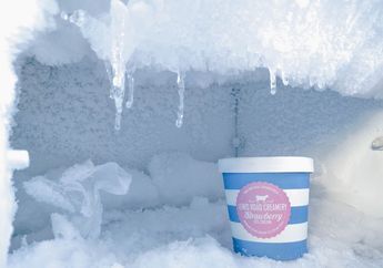 Selain Menyimpan Es Batu, Freezer Bisa Punya Fungsi Lain, Pernah Tahu?