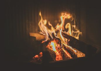 Saat Dibakar, Kayu Mengeluarkan Suara Gemercik, Mengapa Begitu?