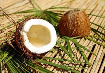 Sering Dimanfaatkan Sebagai Bahan Makanan, Inilah 5 Fakta Buah Kelapa!