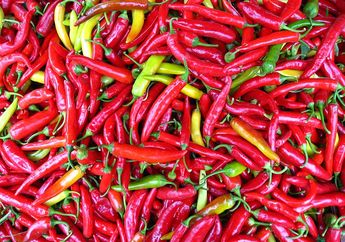 BERITA POPULER: Makanan yang Dipercaya Membuat Panjang Umur Hingga Kesalahan Menyimpan Makanan