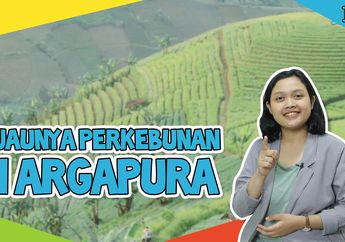 Yuk, Berwisata sambil Menikmati Hijaunya Perkebunan Argapura!