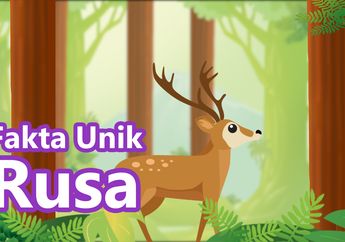 Bisa Berlari Lebih Cepat dari Singa, Ini Dia Fakta-Fakta Unik Rusa!