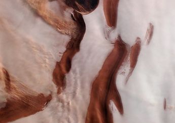 Di Wilayah Kutub Planet Mars Juga Ada Lapisan Es, Pernah Lihat?