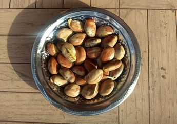Bisa Diolah Jadi Makanan, Apa Manfaat Kandungan Biji Nangka, ya?