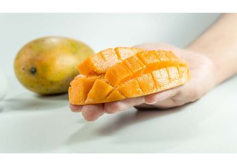Tak Disangka, Mengonsumsi Buah Mangga Bisa Memberikan 4 Manfaat Ini, Salah Satunya Mencegah Kanker!