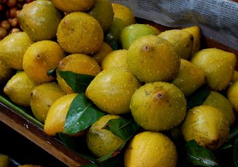 Dikenal dengan Nama Sawo Ubi, Rasa Buah Campolay Mirip Ubi Atau Sawo, ya?