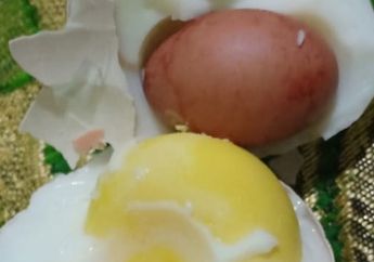 Seorang Anak Menemukan Telur di Dalam Telur, Benarkah Karena Induk Ayamnya Stres?