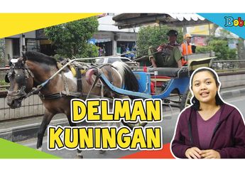 Wah, di Kota Ini, Ada Sekitar 400 Kuda untuk Menarik Delman, lo!