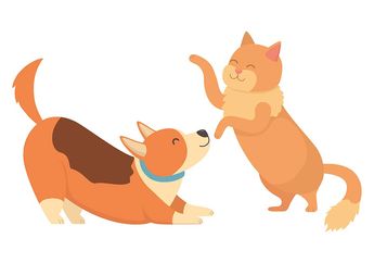 Pelihara Kucing dan Anjing di Rumah? Tidak Perlu Khawatir, Ikut 4 Tips Ini Agar Keduanya Akur