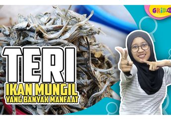 Suka Makan Ikan Teri? Ketahui Dulu Fakta-Fakta Serunya, yuk!